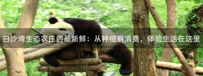 fh至尊app下载安装