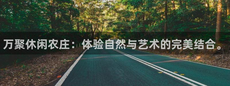fh至尊怎么没有了