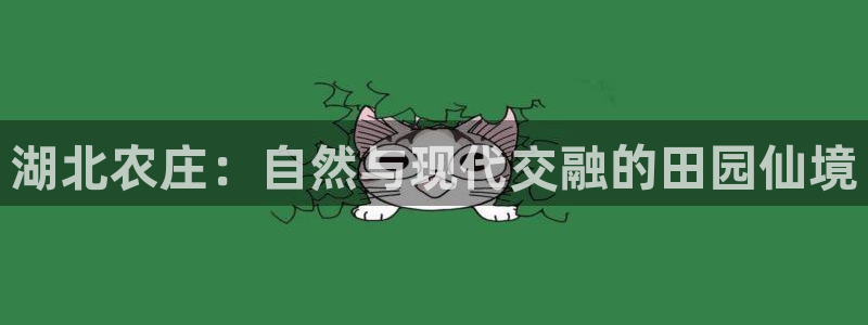 fh至尊代理
