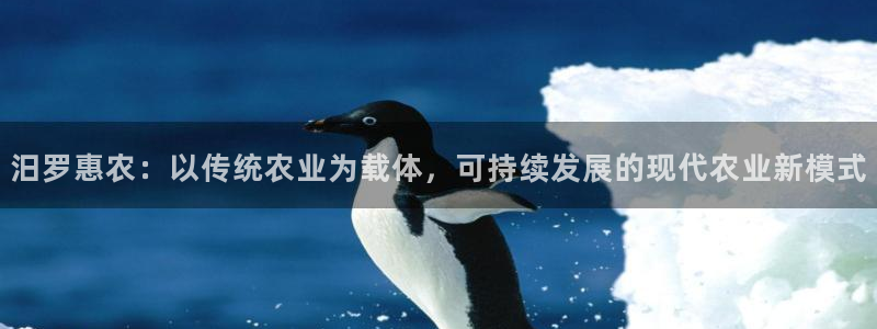 FH至尊联盟