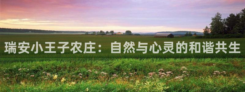 fh至尊凤凰代理