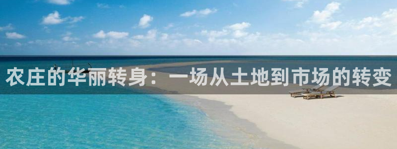 fh至尊怎么没有了