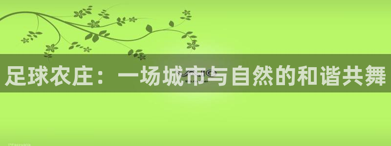 FH至尊隶属哪家公司