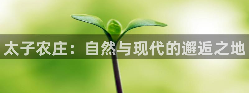 FH至尊平台是什么平台