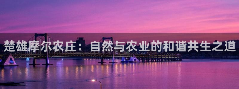 fh至尊平台坑人