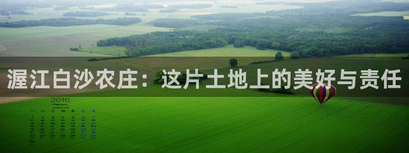 fh至尊安全吗
