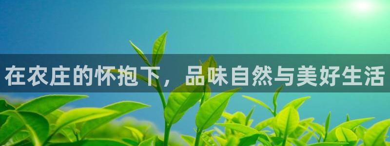 FH至尊娱乐下载二维码