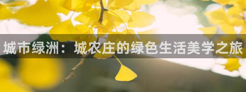 fh至尊怎么注册