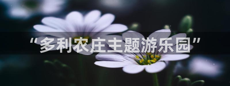 fh至尊是不是黑平台