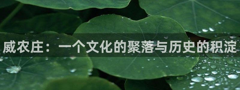 FH-FH至尊版的功能