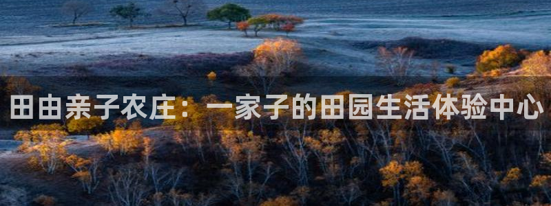 老凤凰改名FH至尊黑钱