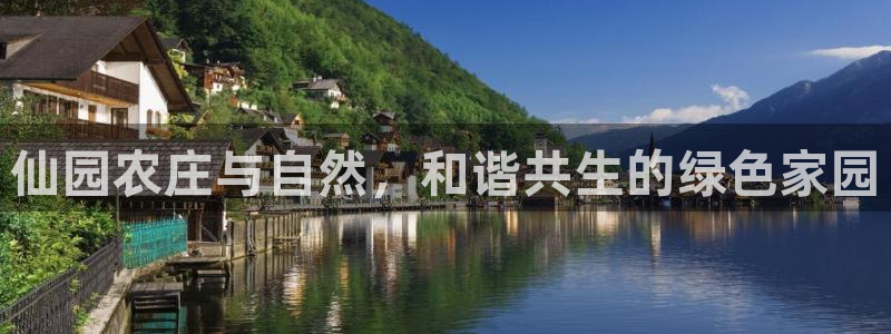 FH-FH至尊版的功能