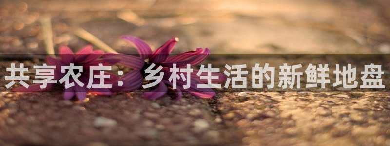 FH至尊开户链接