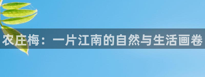 fh至尊是不是假的