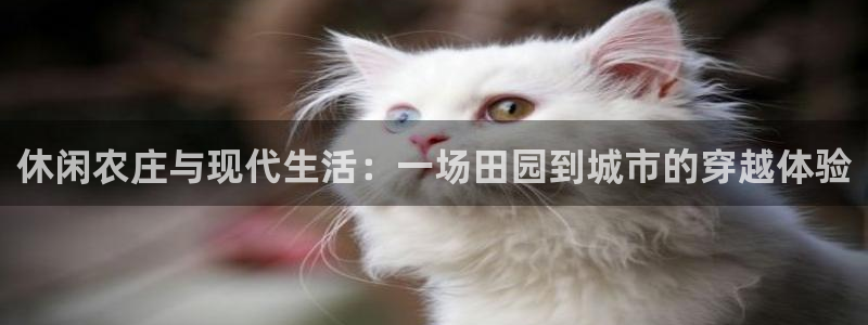 fh至尊app下载安装