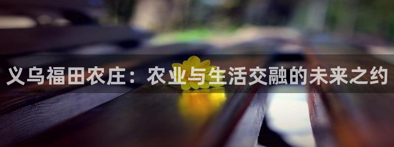 fh至尊游戏玩法