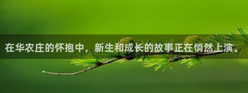 FH至尊出问题了