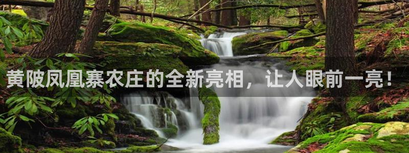 FH至尊平台注册