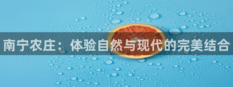 FH至尊登录不了