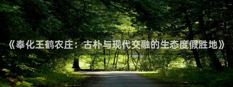 fh至尊正常登录