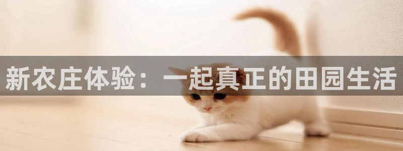 fh至尊正常登录下载