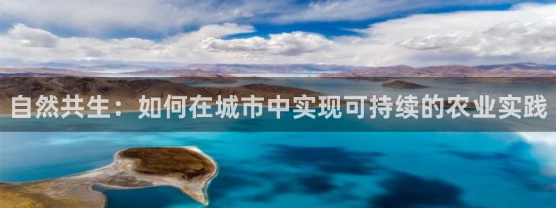 FH至尊平台登录