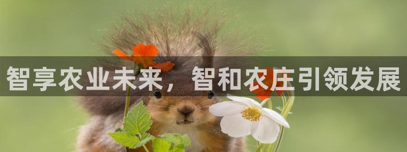 fh至尊游戏模式