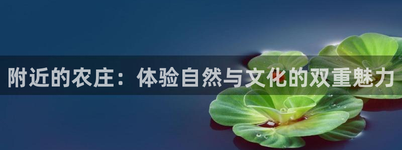 FH至尊是正规平台吗