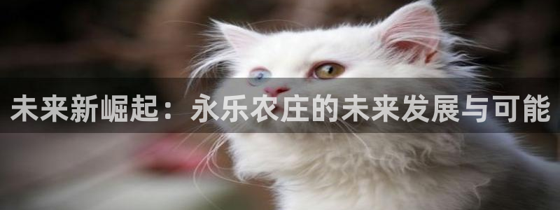 fh至尊平台坑人的原因