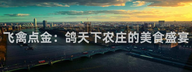 fh至尊游戏玩法