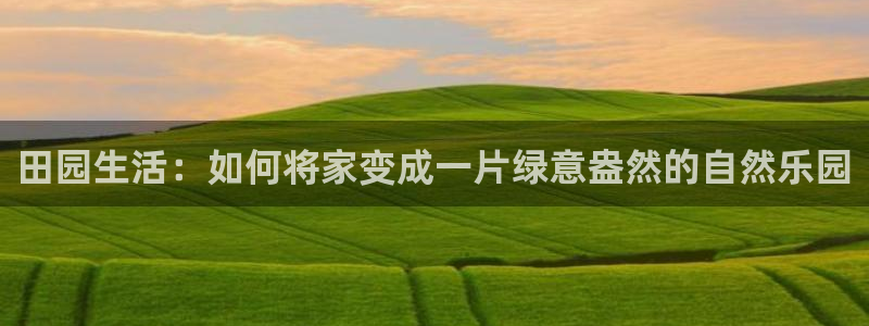 fh至尊游戏玩法