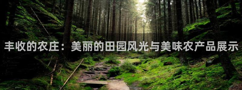 FH至尊平台注册地址