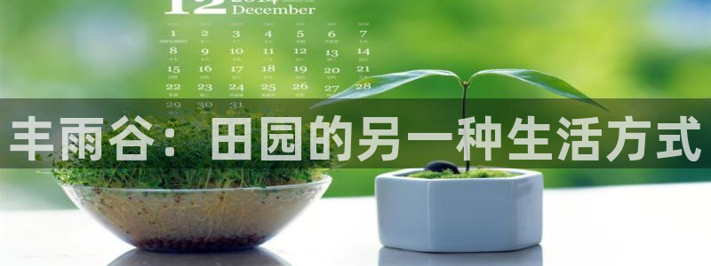 fh至尊游戏玩法