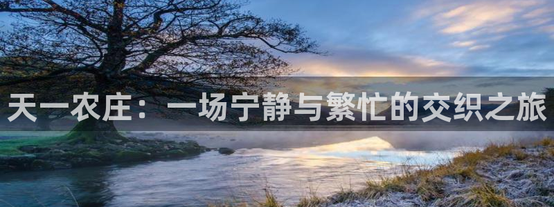 凤凰娱乐FH至尊