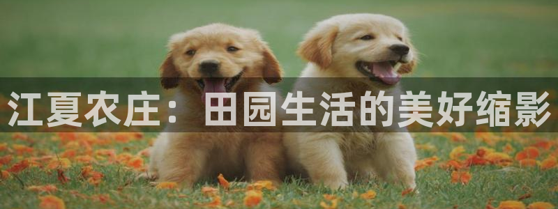 fh至尊怎么改密码