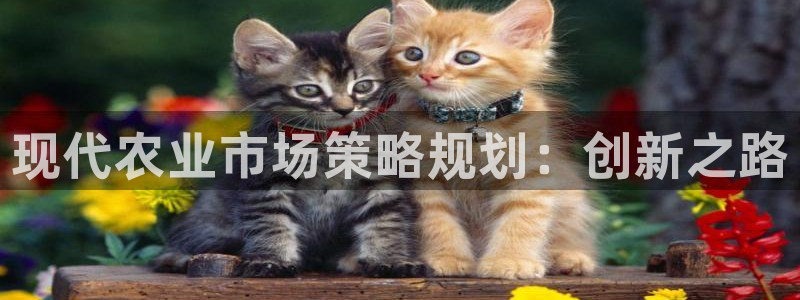 FH凤凰至尊娱乐