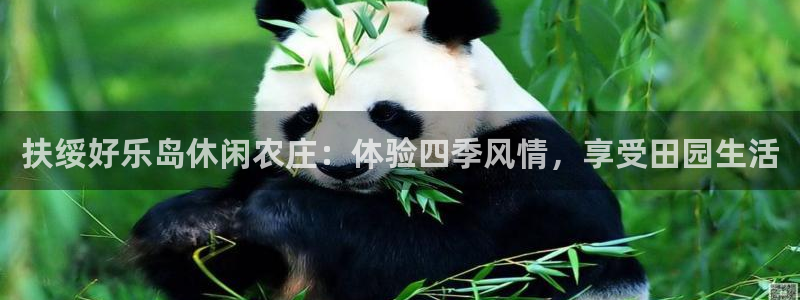 fh至尊怎么登录