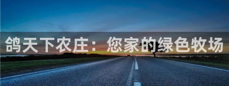 FH至尊隶属哪家公司