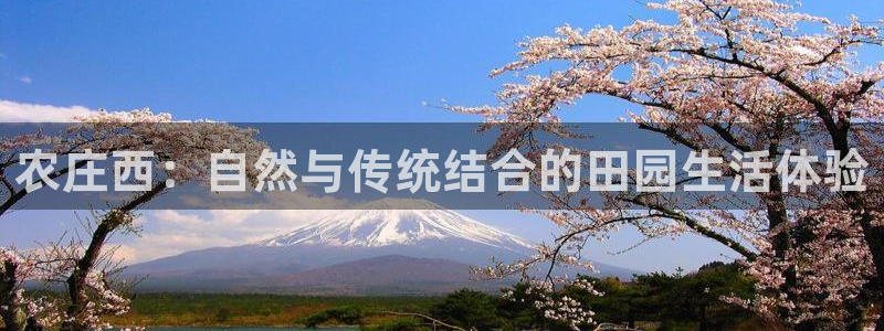 fh至尊是什么牌子