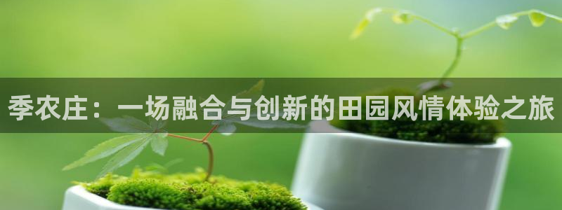 fh至尊多少年了