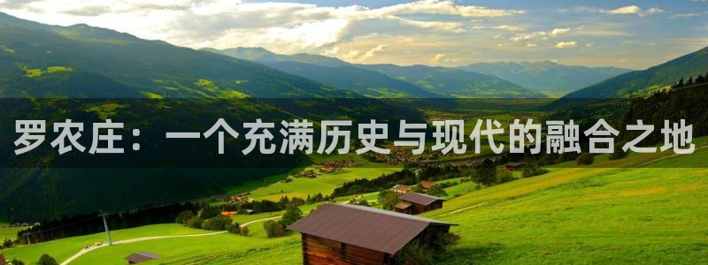 凤凰至尊fh凤凰版0a