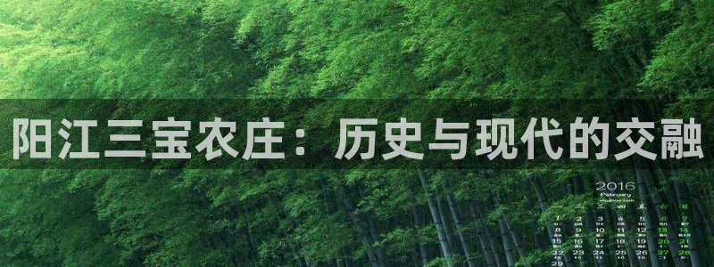 fh至尊什么意思