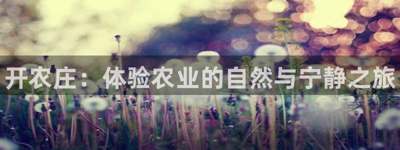 fh至尊游戏彩票