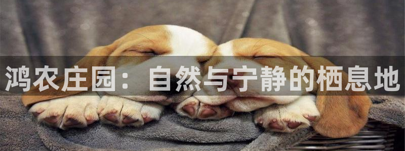 fh至尊平台黑吗