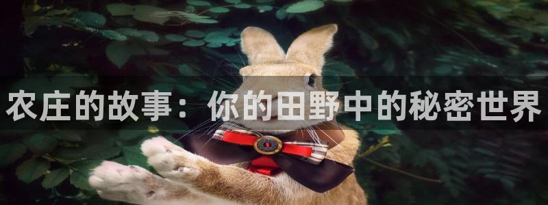 fh至尊在哪可以下载