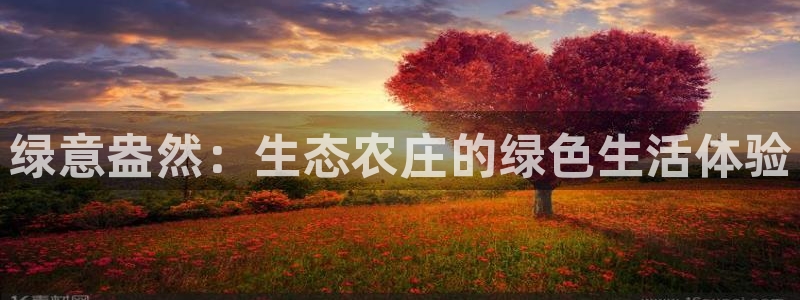 FH至尊是什么意思