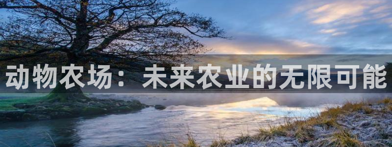 FH至尊出问题了