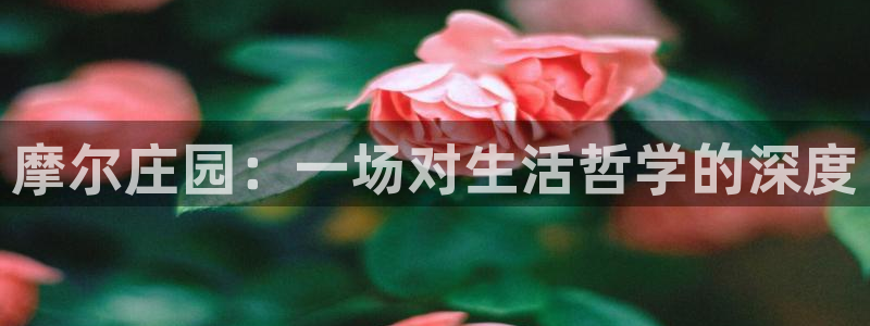 fh至尊正常登录下载