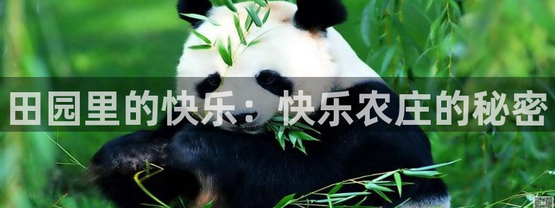 fh至尊是黑台子吗