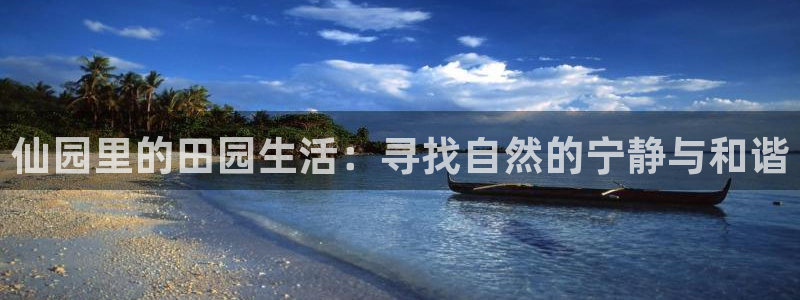 FH至尊出问题了